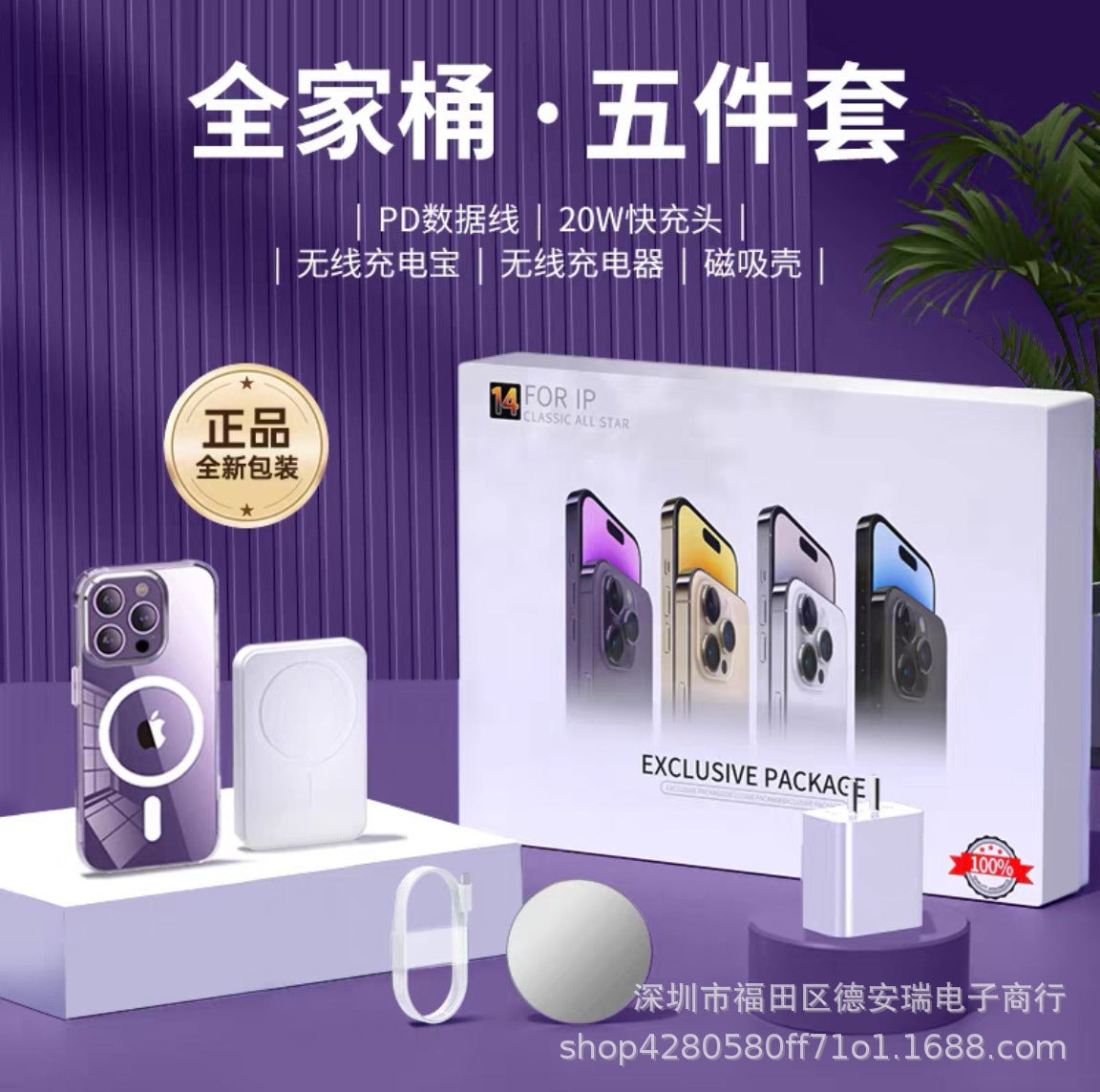 35W Dual C Fast Charger Accessories Set for iPhone