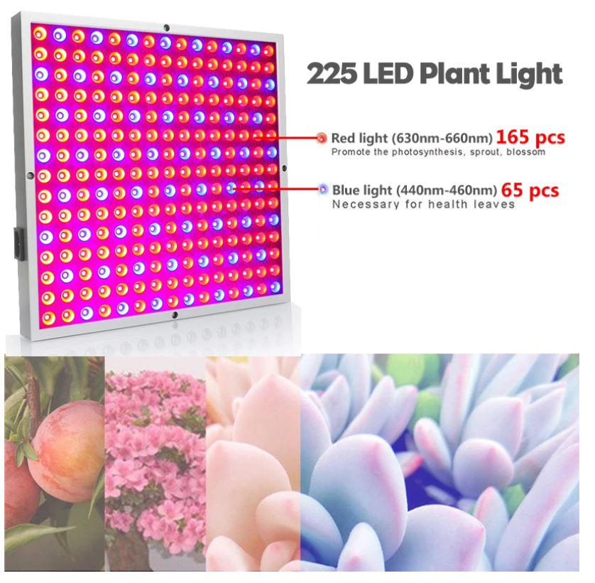 LED Grow Lamp